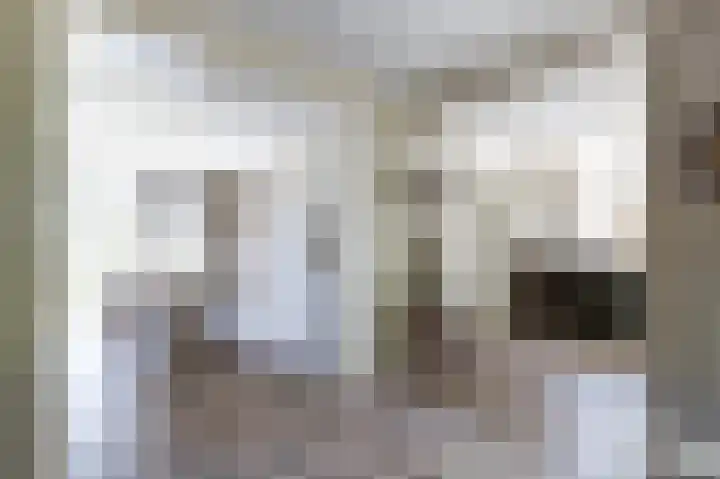 Westkerkseweg 47 Scherpenisse thumbnail 11