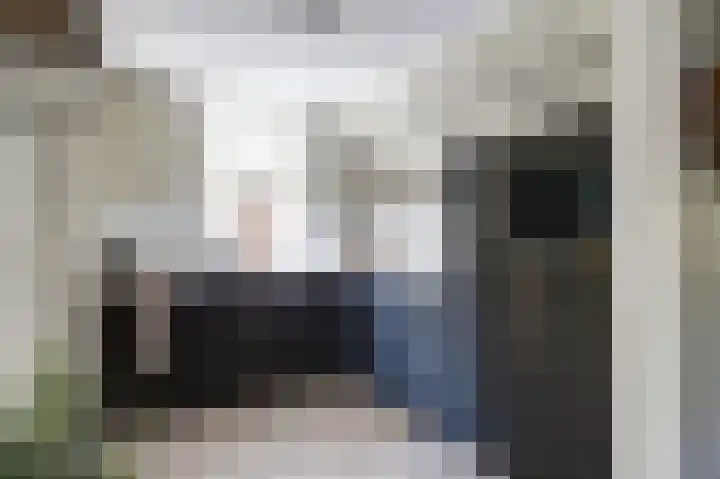 Westkerkseweg 47 Scherpenisse thumbnail 13