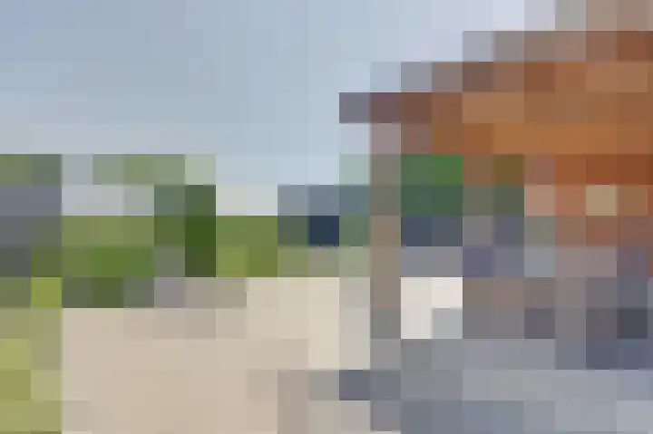 Westkerkseweg 47 Scherpenisse thumbnail 30