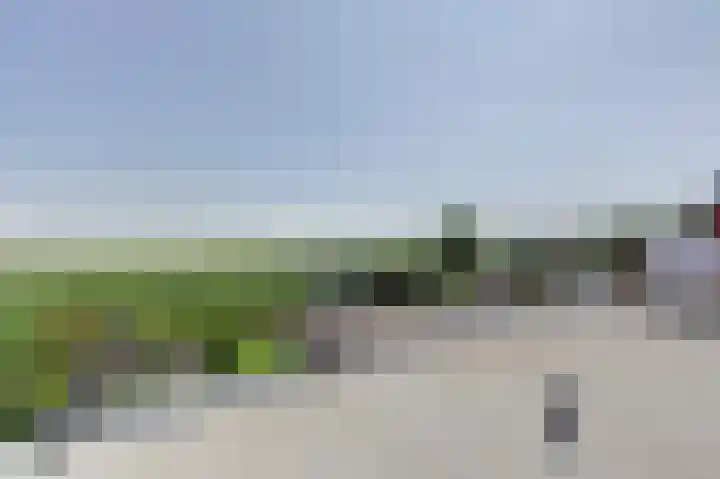 Westkerkseweg 47 Scherpenisse thumbnail 34
