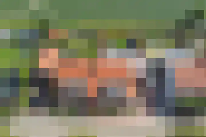 Westkerkseweg 47 Scherpenisse thumbnail 37