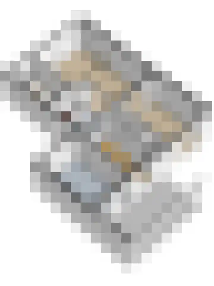 Westkerkseweg 47 Scherpenisse thumbnail 43