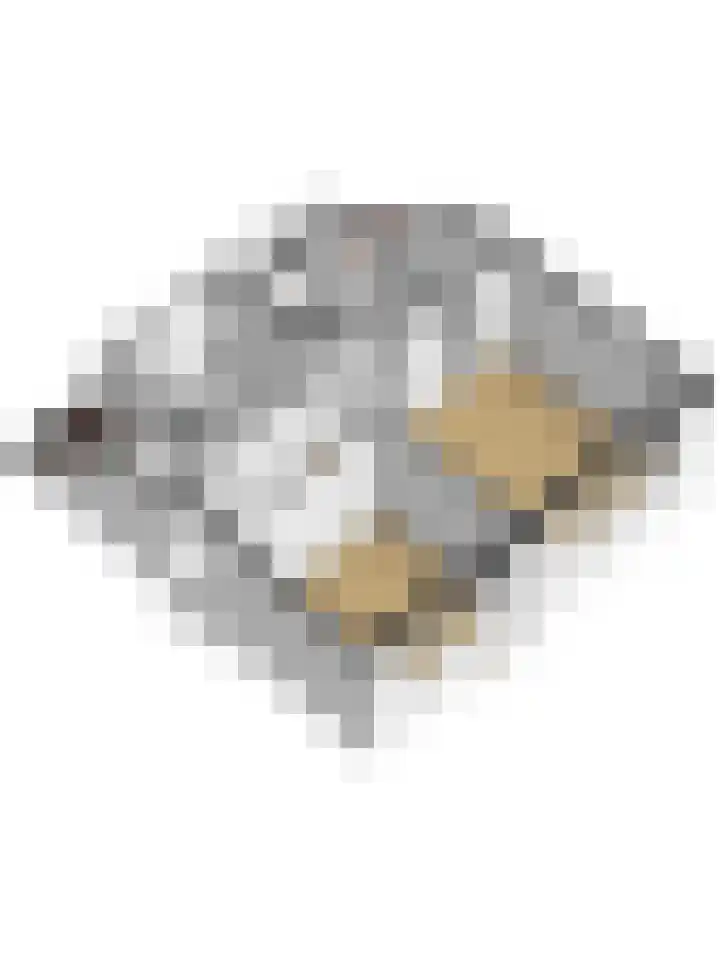 Westkerkseweg 47 Scherpenisse thumbnail 44