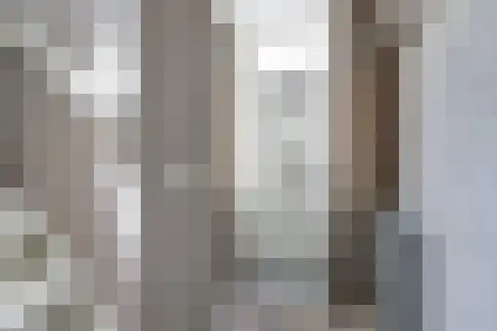 Westkerkseweg 47 Scherpenisse thumbnail 5