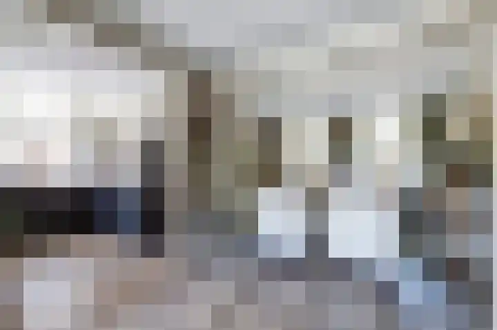 Westkerkseweg 47 Scherpenisse thumbnail 8