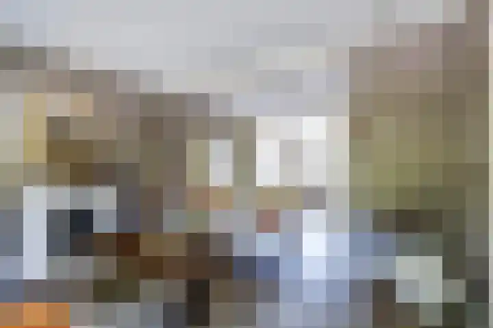Westkerkseweg 47 Scherpenisse thumbnail 9