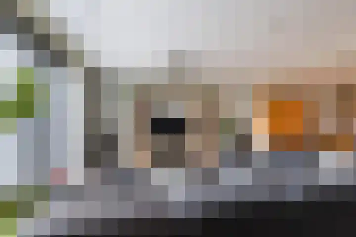 Westkerkseweg 53 Scherpenisse thumbnail 10