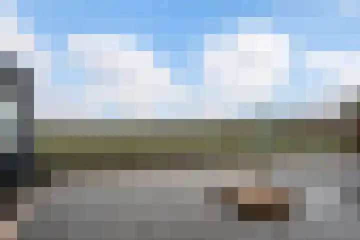 Westkerkseweg 53 Scherpenisse thumbnail 43