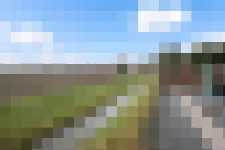 Westkerkseweg 53 Scherpenisse thumbnail 45