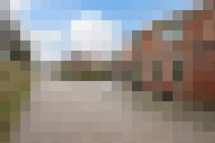 Westkerkseweg 53 Scherpenisse thumbnail 6
