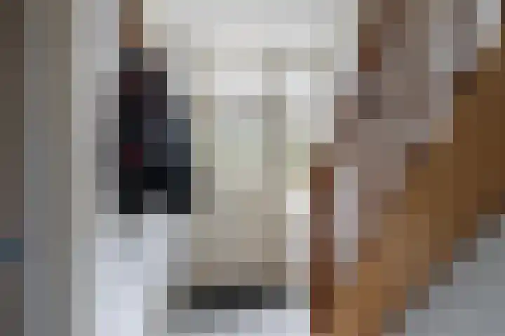 Westkerkseweg 53 Scherpenisse thumbnail 7