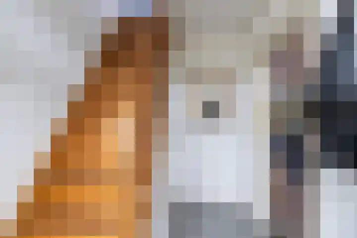 Westkerkseweg 53 Scherpenisse thumbnail 8