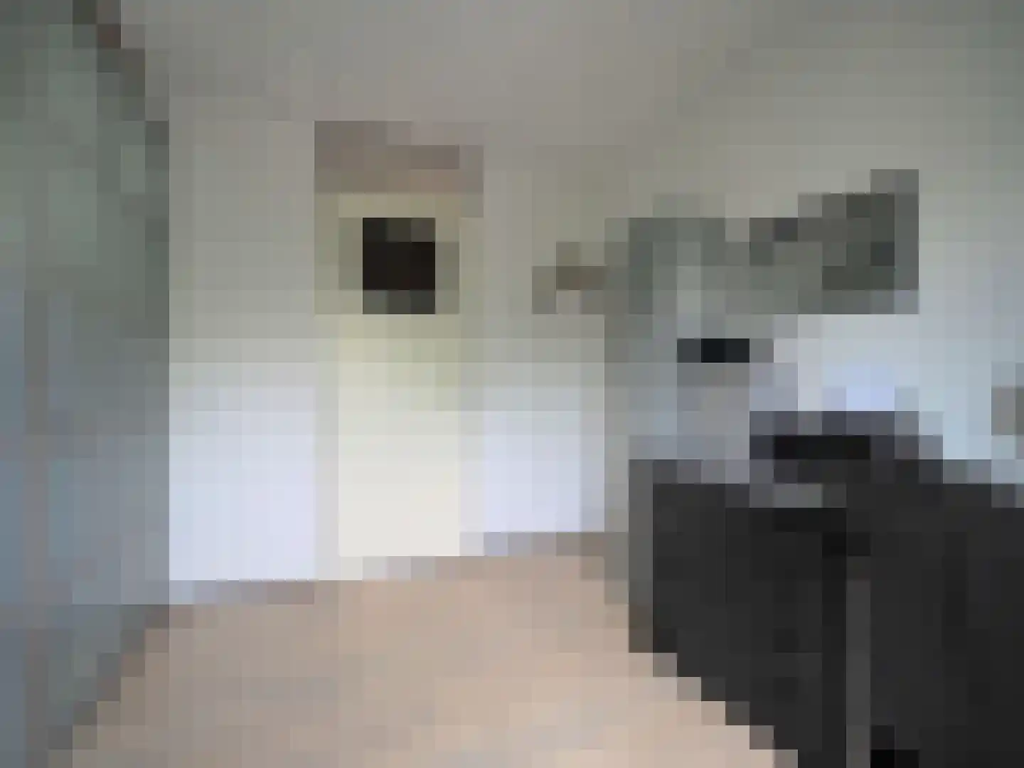 Westkil 39 Papendrecht thumbnail 34