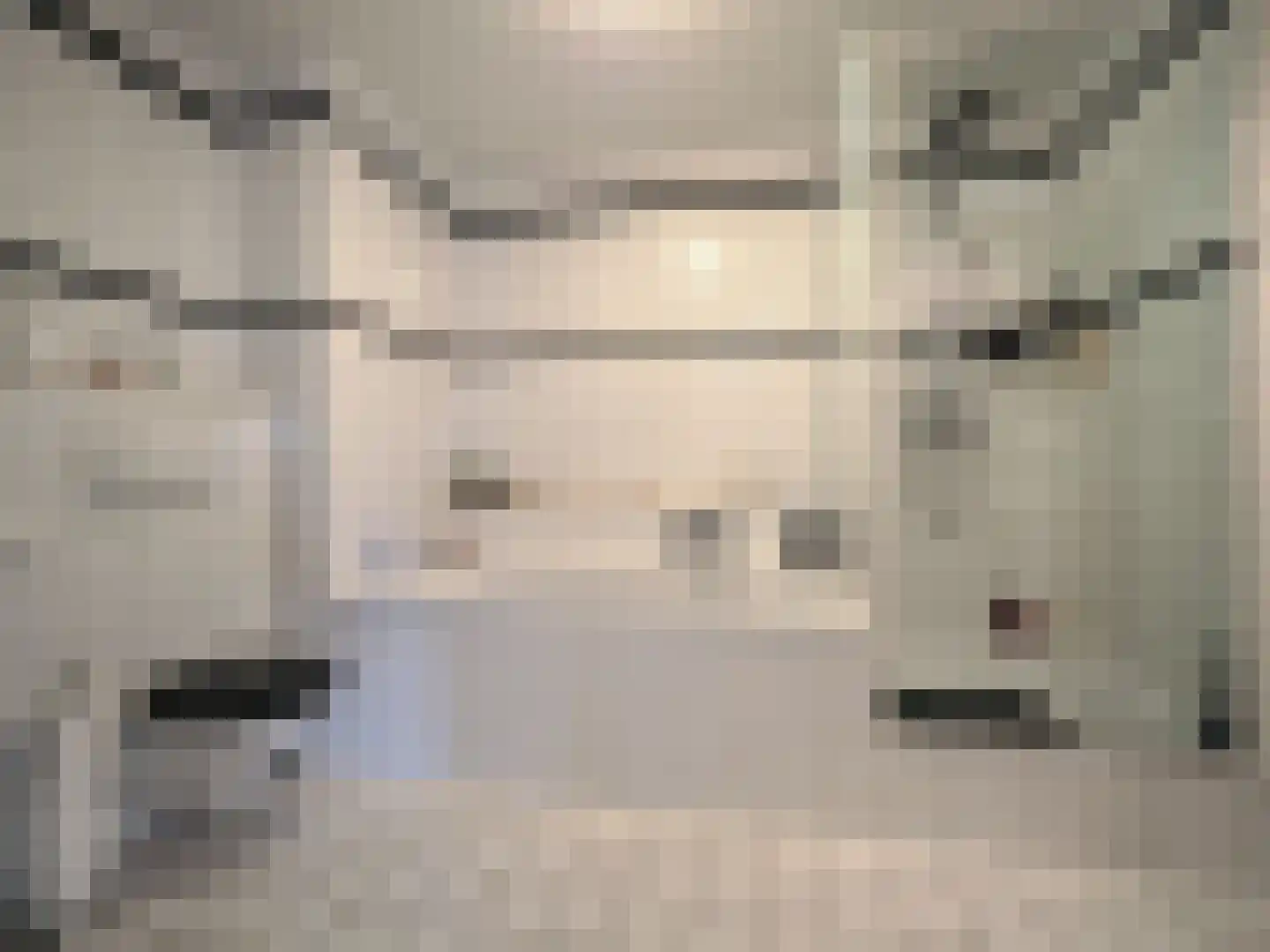 Westkil 39 Papendrecht thumbnail 35