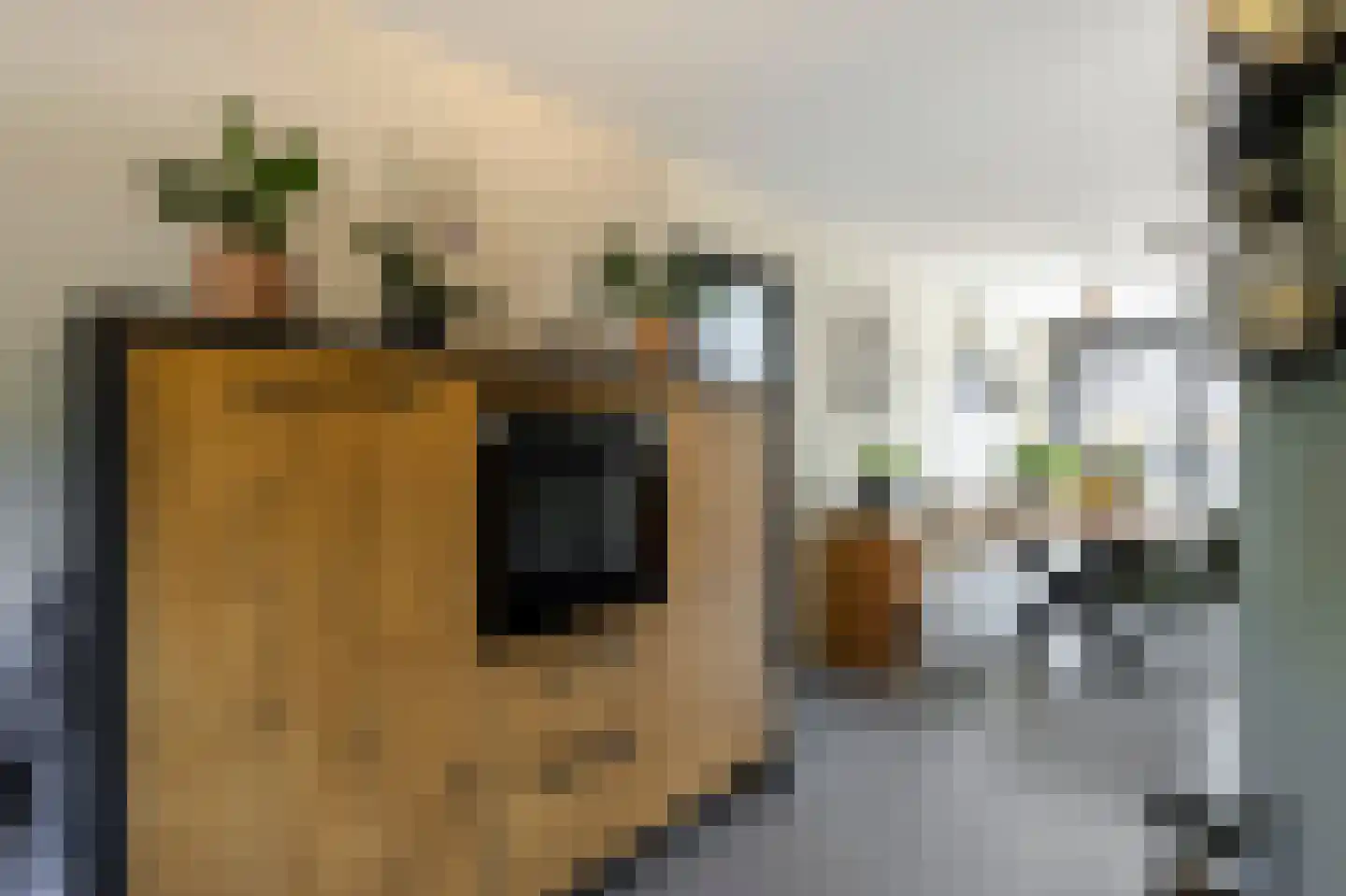 Westkil 42 Papendrecht thumbnail 11