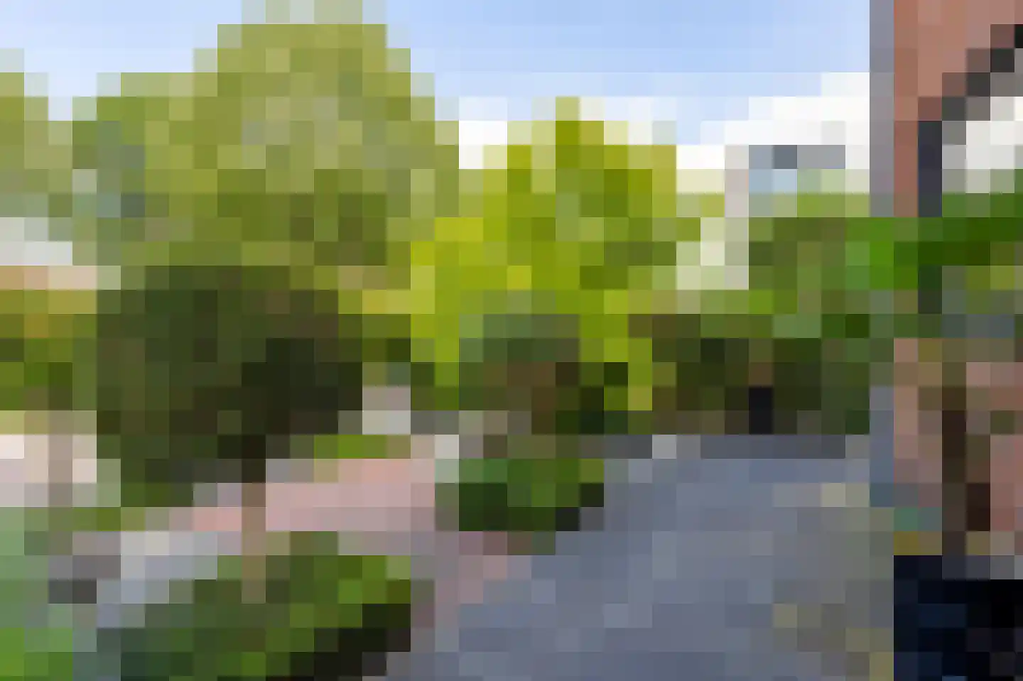 Westkil 42 Papendrecht thumbnail 40