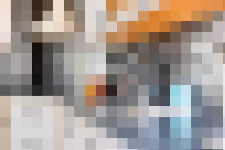 Westkil 46 Papendrecht thumbnail 17