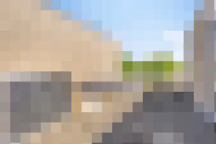 Westkil 46 Papendrecht thumbnail 30