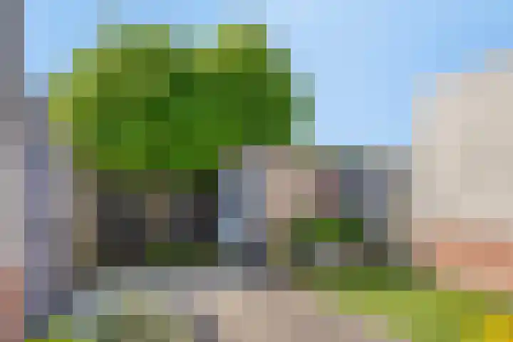 Westkil 46 Papendrecht thumbnail 33