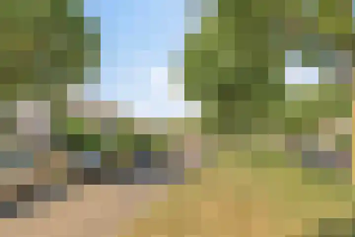 Westkil 46 Papendrecht thumbnail 36