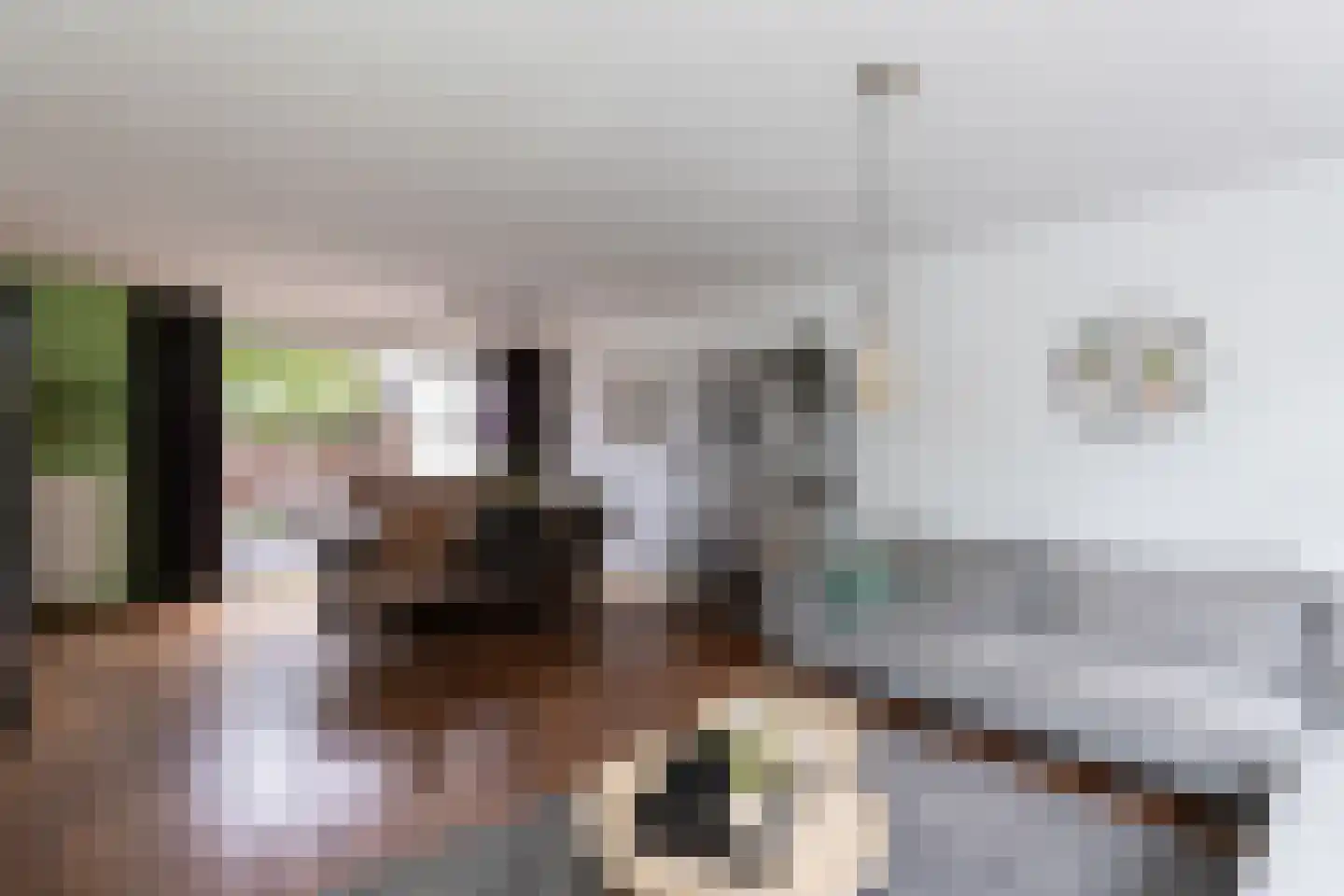 Westkil 52 Papendrecht thumbnail 8