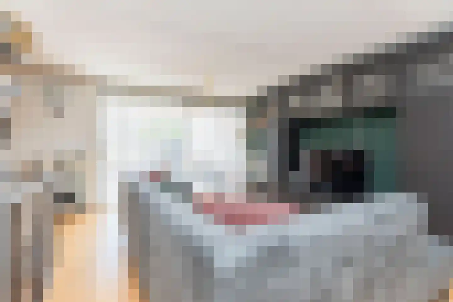 Westkil 56 Papendrecht thumbnail 5