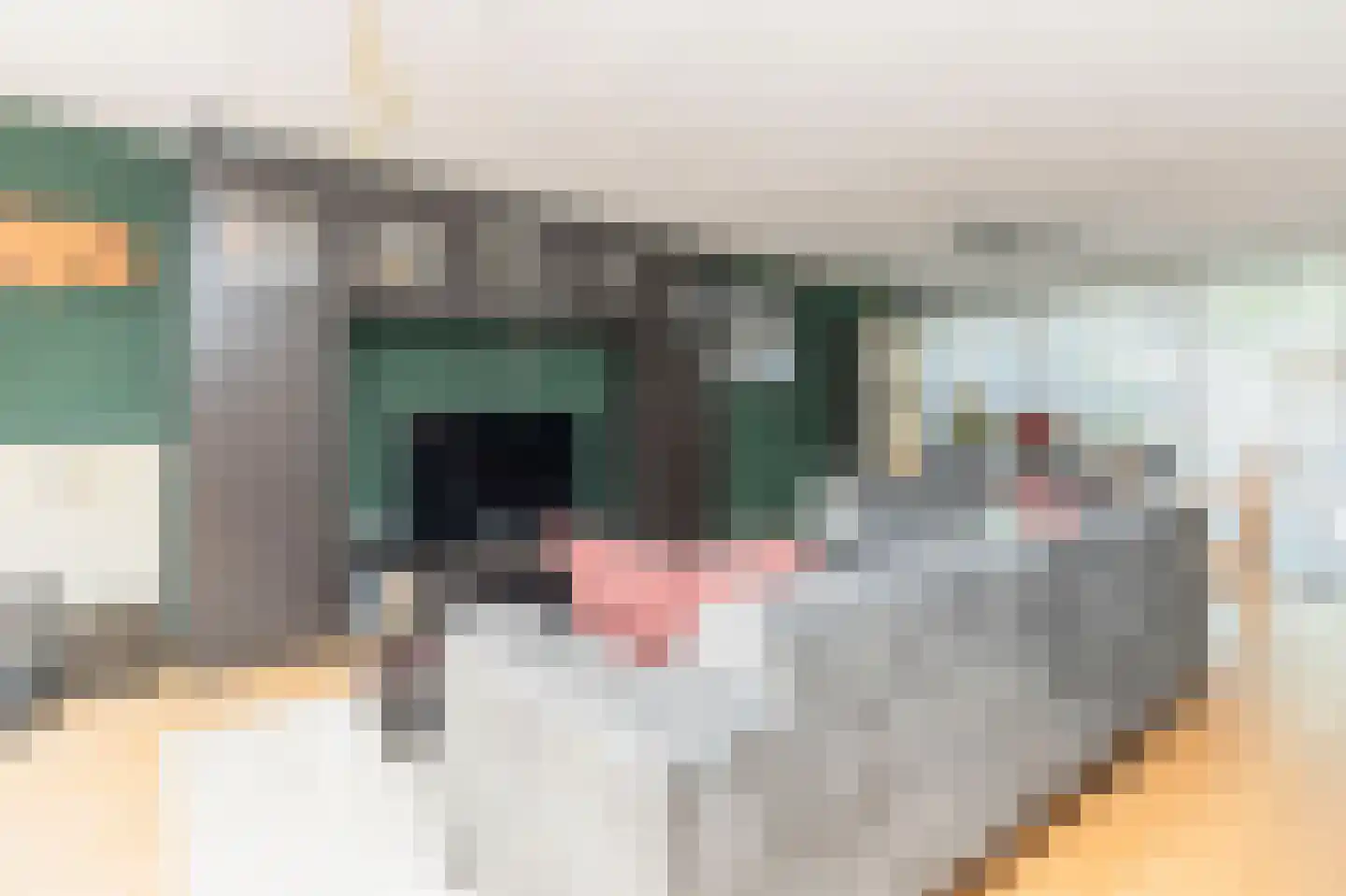 Westkil 56 Papendrecht thumbnail 6