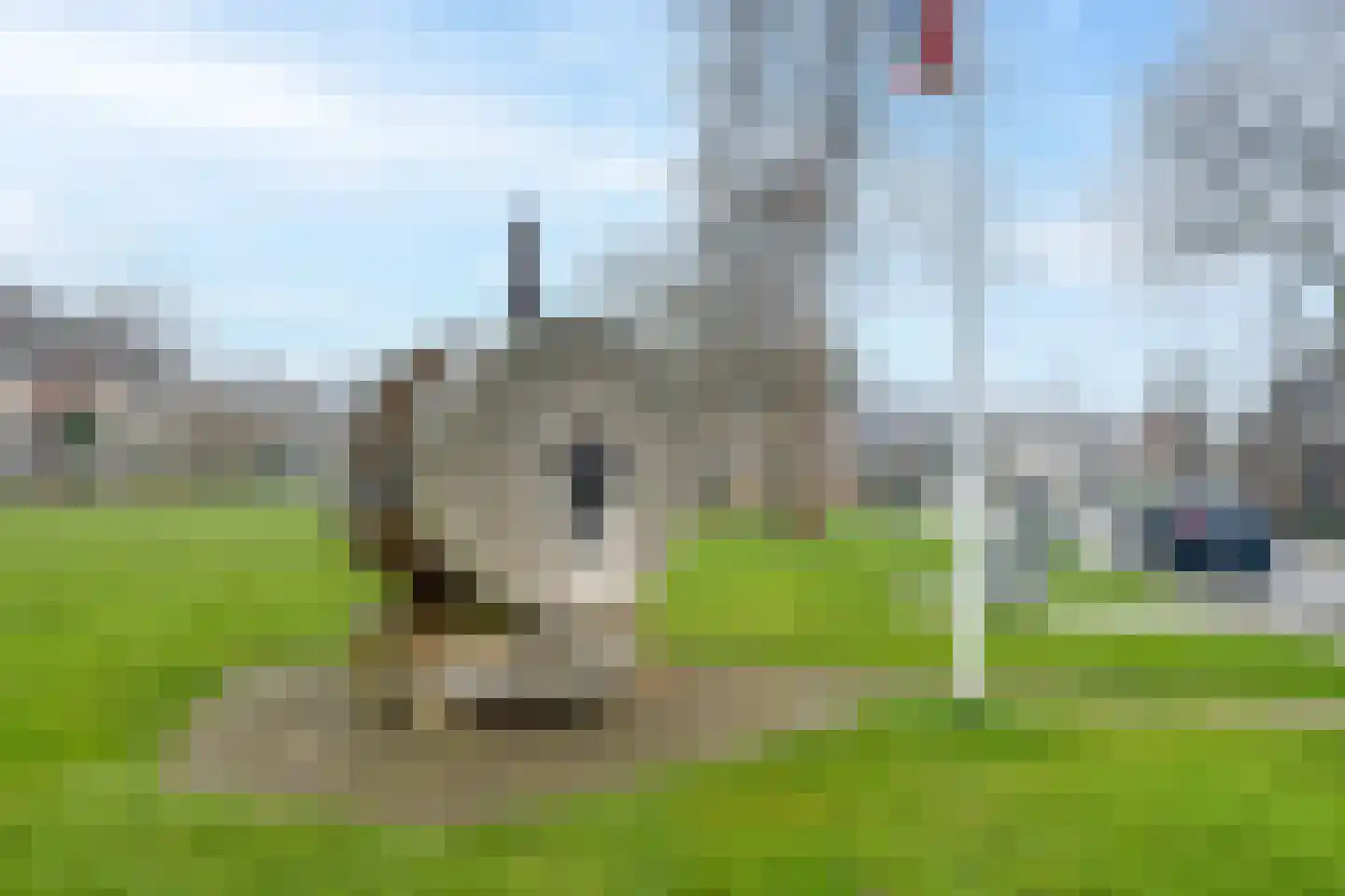 Westknollendam 60 Westknollendam thumbnail 78
