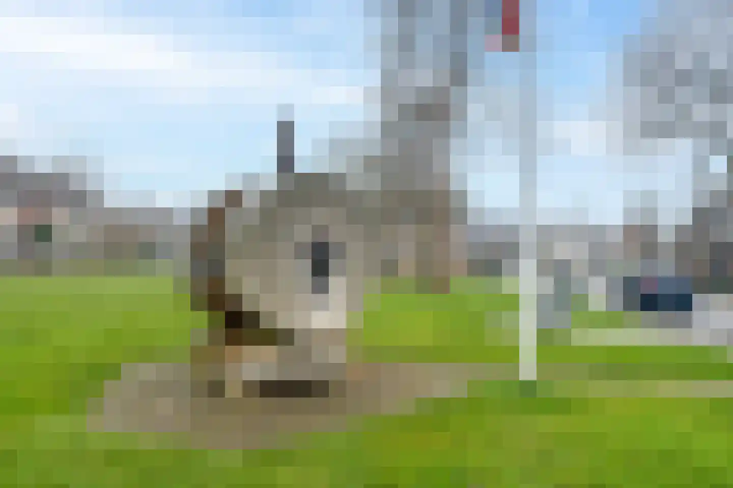 Westknollendam 60 Westknollendam thumbnail 78