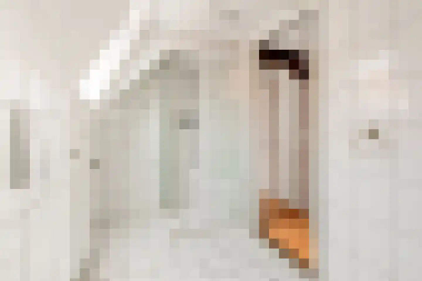 Westkolk 10 A Spaarndam gem. Haarlem thumbnail 46