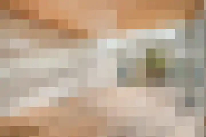 Westkreek 14 Zwolle thumbnail 18