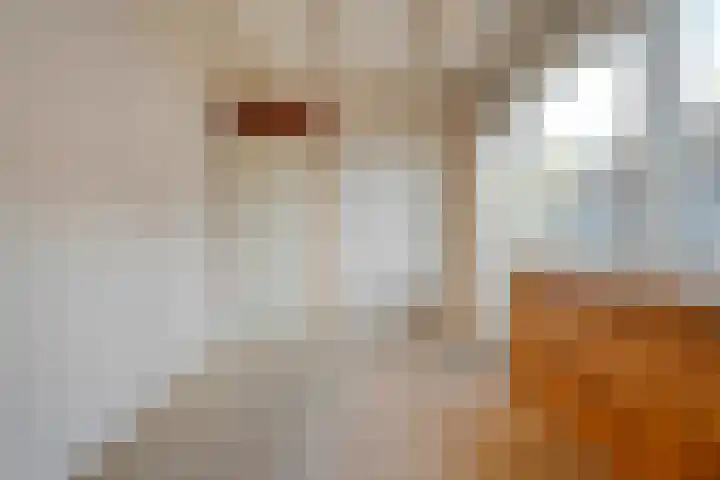 Westkreek 14 Zwolle thumbnail 30