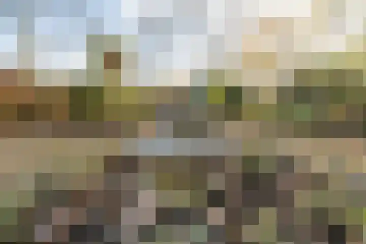 Westkreek 14 Zwolle thumbnail 39