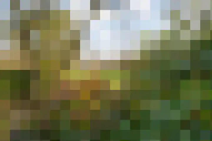 Westkreek 14 Zwolle thumbnail 40