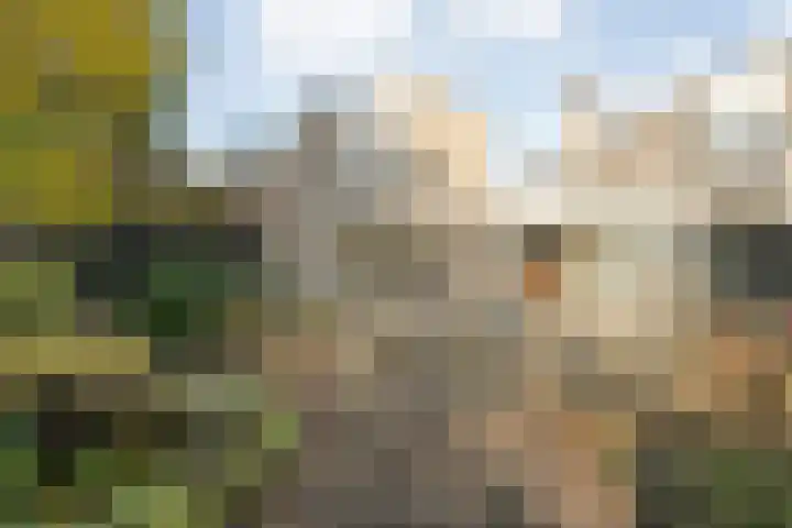 Westkreek 14 Zwolle thumbnail 41