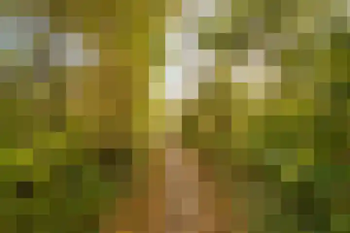 Westkreek 14 Zwolle thumbnail 46