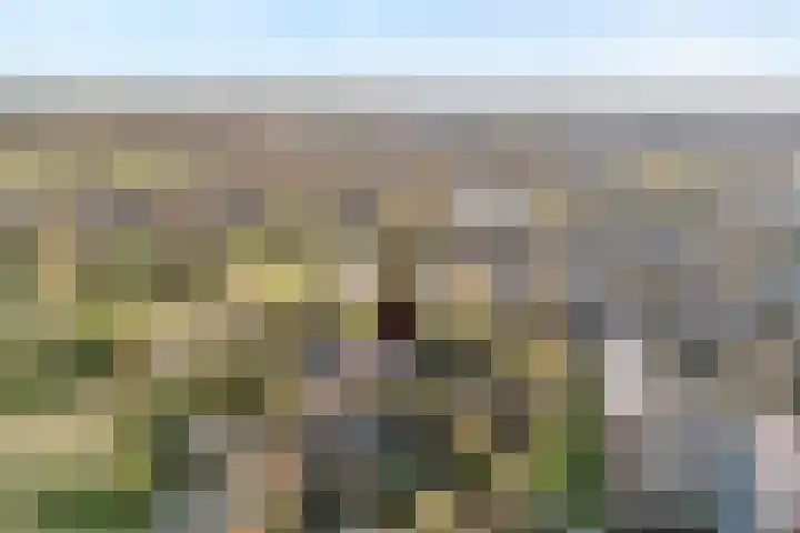 Westkreek 14 Zwolle thumbnail 50