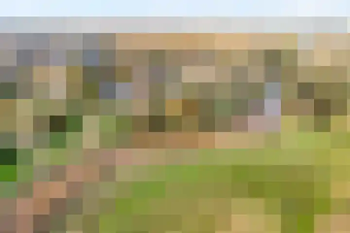 Westkreek 14 Zwolle thumbnail 51