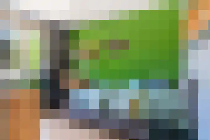 Westkreek 19 Apeldoorn thumbnail 15