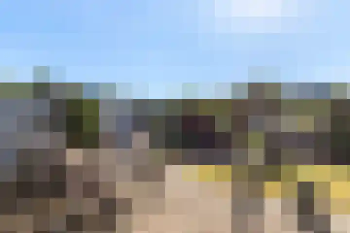 Westkreek 19 Apeldoorn thumbnail 23