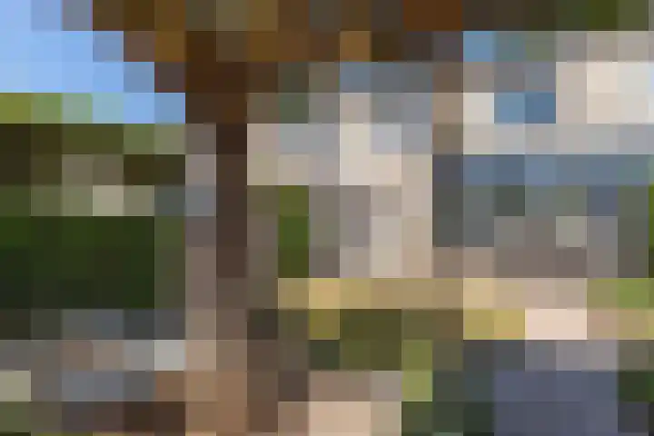 Westkreek 19 Apeldoorn thumbnail 25