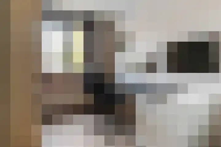 Westkreek 31 Apeldoorn thumbnail 16