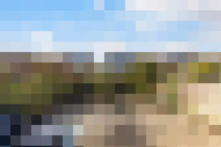 Westkreek 31 Apeldoorn thumbnail 25