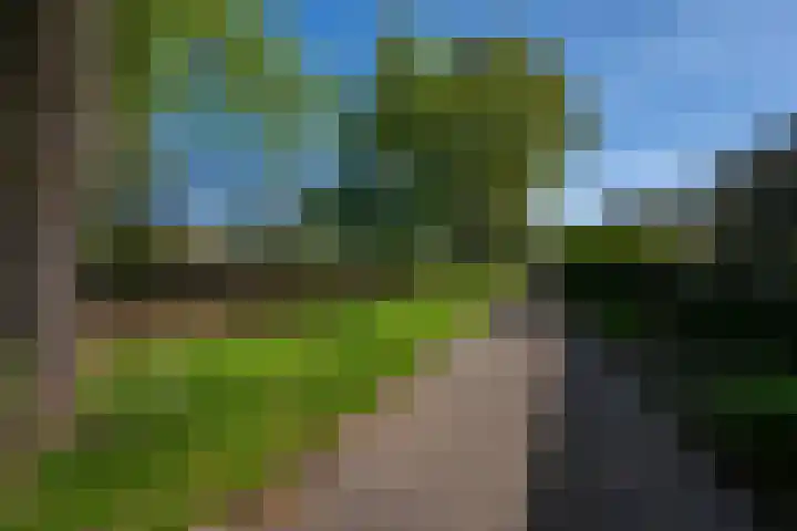 Westkreek 43 Apeldoorn thumbnail 25