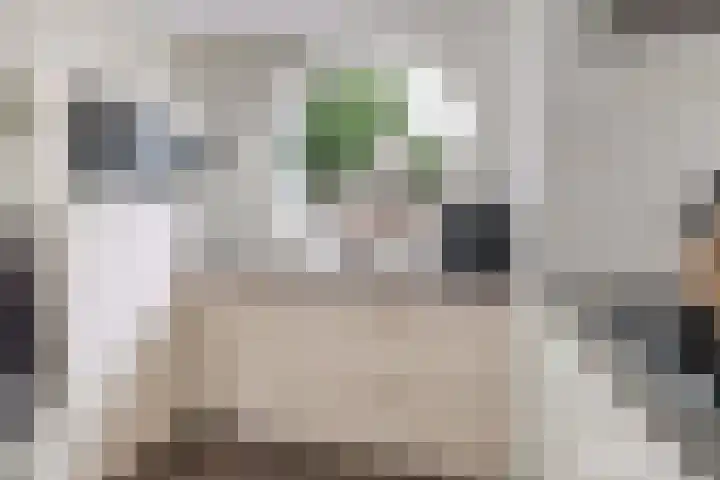 Westkreek 45 Apeldoorn thumbnail 12