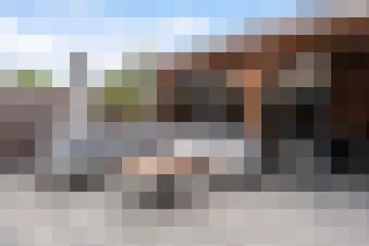 Westkreek 45 Apeldoorn thumbnail 19