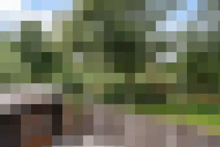 Westkreek 45 Apeldoorn thumbnail 30