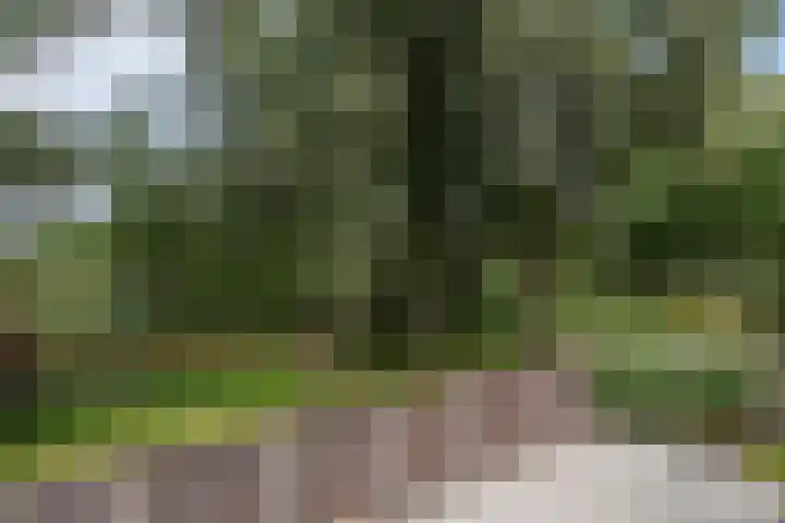 Westkreek 45 Apeldoorn thumbnail 31