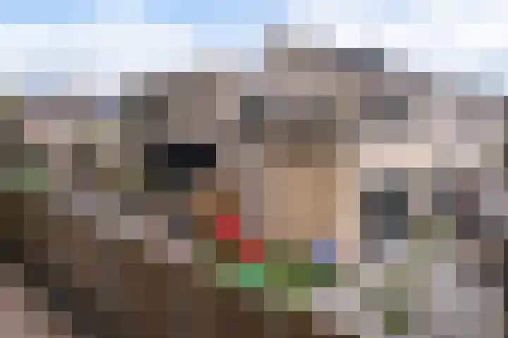 Westkreek 45 Apeldoorn thumbnail 32