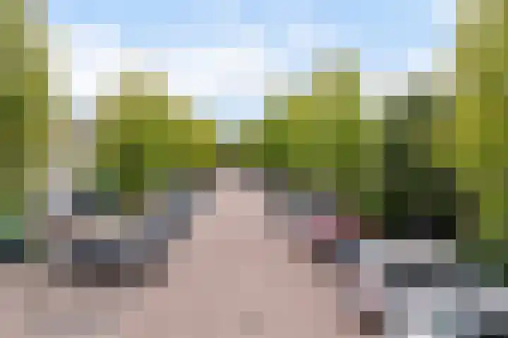 Westkreek 45 Apeldoorn thumbnail 33